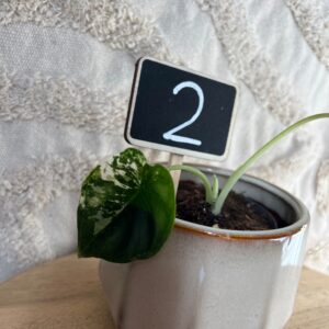 Gallery product image